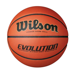 Evolution Game Ball